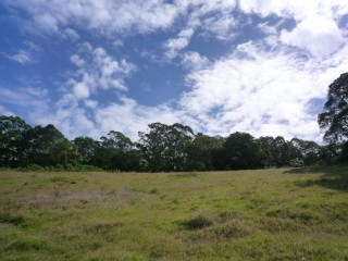 Large Development Potential in Yandina.