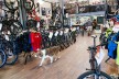 Fantastic Lifestyle Bicycle Sales Centre