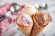Wanted:  Director of Tasting for a Premium Gelato Manufacturer for Sale / Sunshine Coast