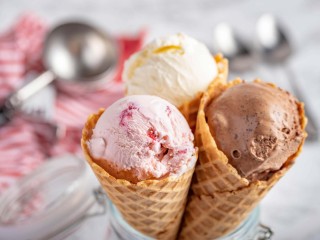 Artisanal Ice cream Investor Required Sunshine Coast