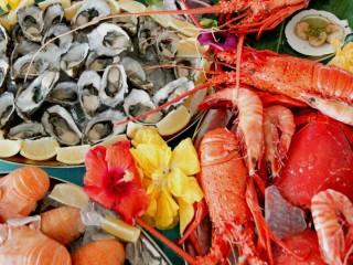 Seafood Cruise Charter Boat for Sale Sunshine Coast QLD Australia