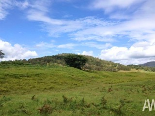 Luxurious Riverside Estate on 1,000 Acres of Undulating Land