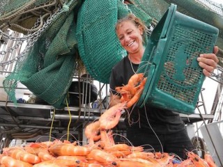 Seafood Distribution  3 Days Only, Strong Community Following